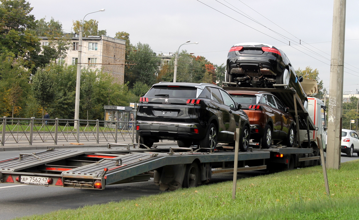 Какие недостатки есть у автомобилей, ввозимых параллельным импортом