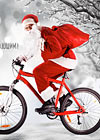 8b212ef46c54cc0248a35a279fab2b17.jpg
