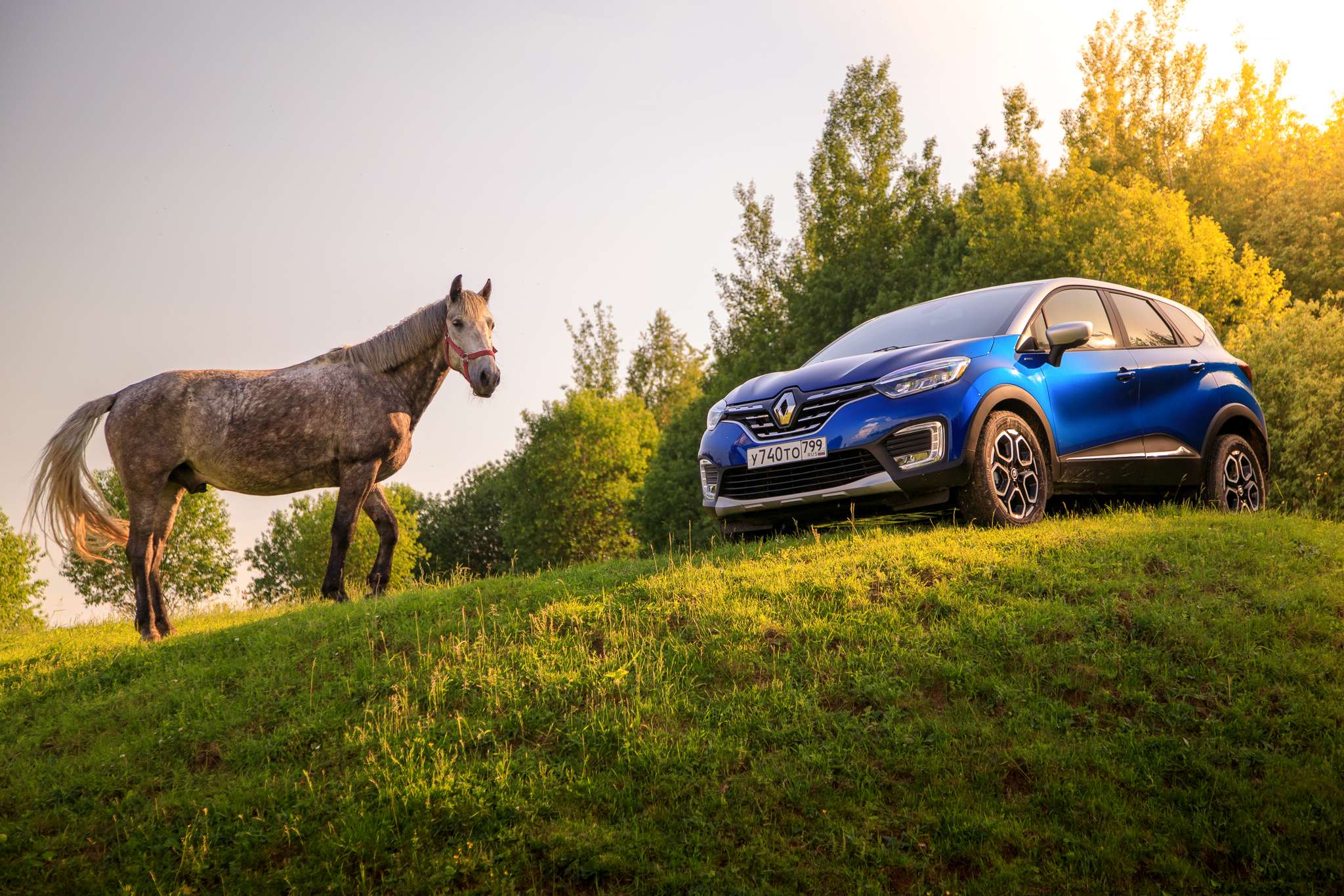 RENAULT KAPTUR: ВСЁ ПО-НОВОМУ