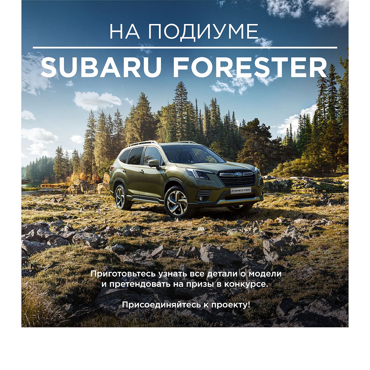 Привет, Forester!
