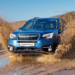 Subaru Forester: Честный «Лесник»