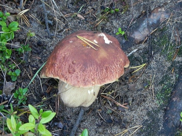 5f1245934023d27df9cb4323e31005b8.jpg