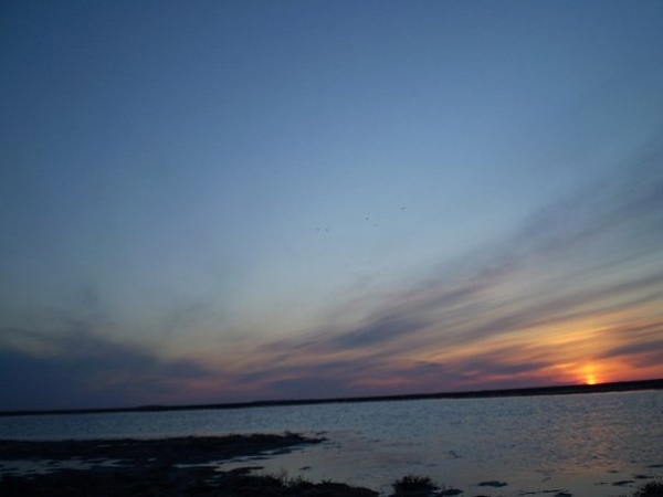 74f8c393a94f753bf074f6c75e796438.jpg