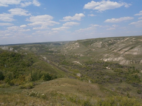 a65ce23d45710ab5d81b4c5177ec698b.JPG