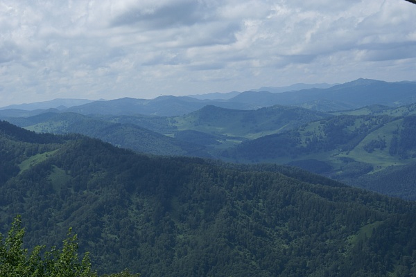 a7e06437757eaef242f1c1c84684872b.JPG
