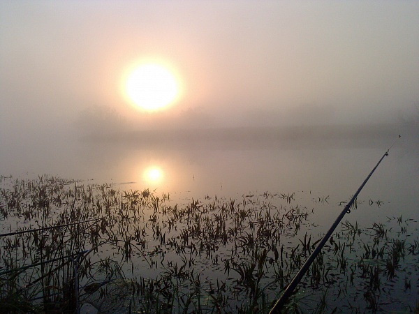 b12e335c802031d2f9d38036427c0406.jpg