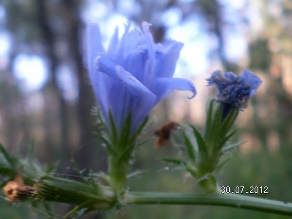 d6d69cf8cb313ca1c059ab4e127746f8.JPG